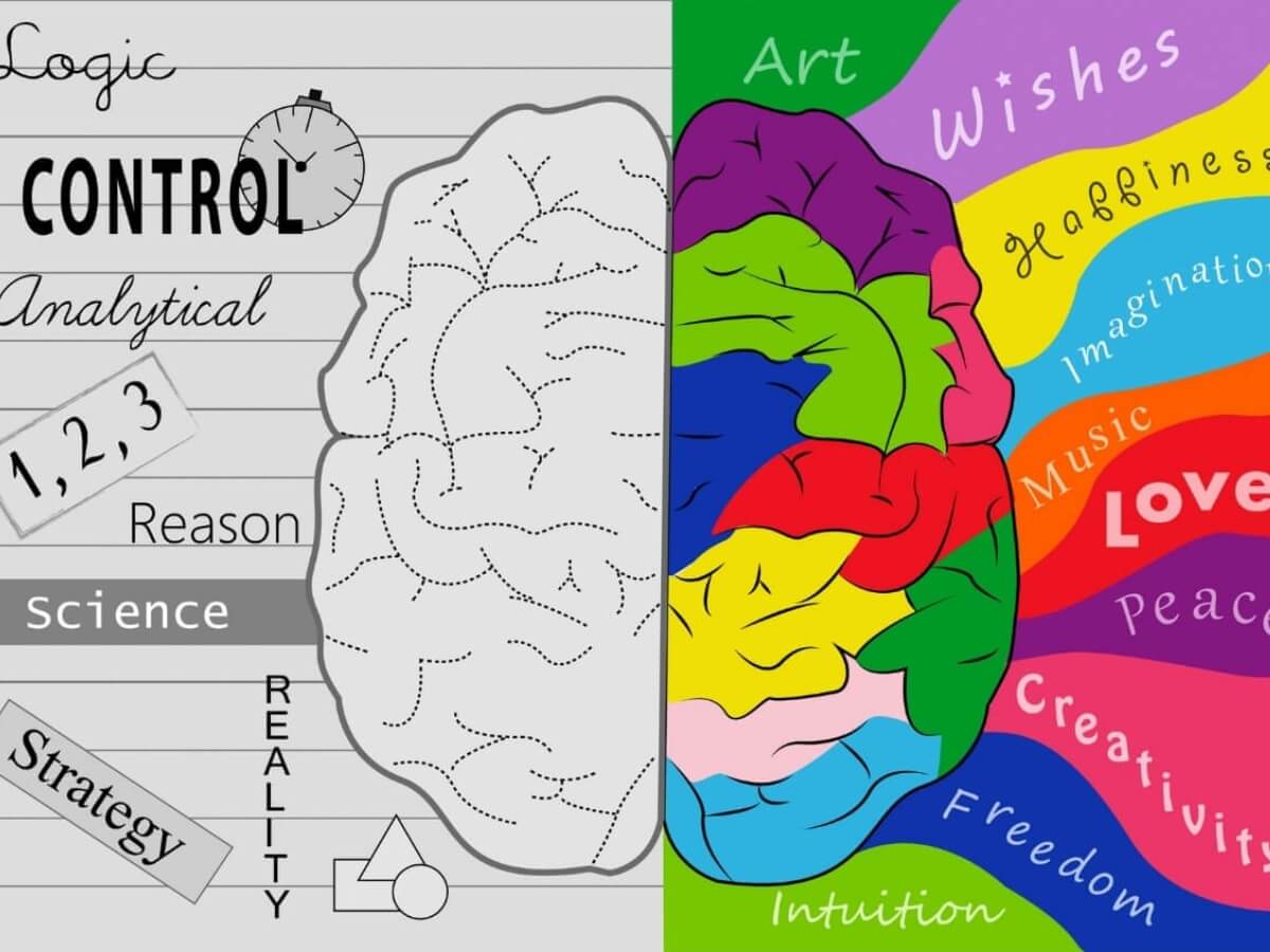 Rozdelenie mozgových hemisfér na logiku a kreativitu.